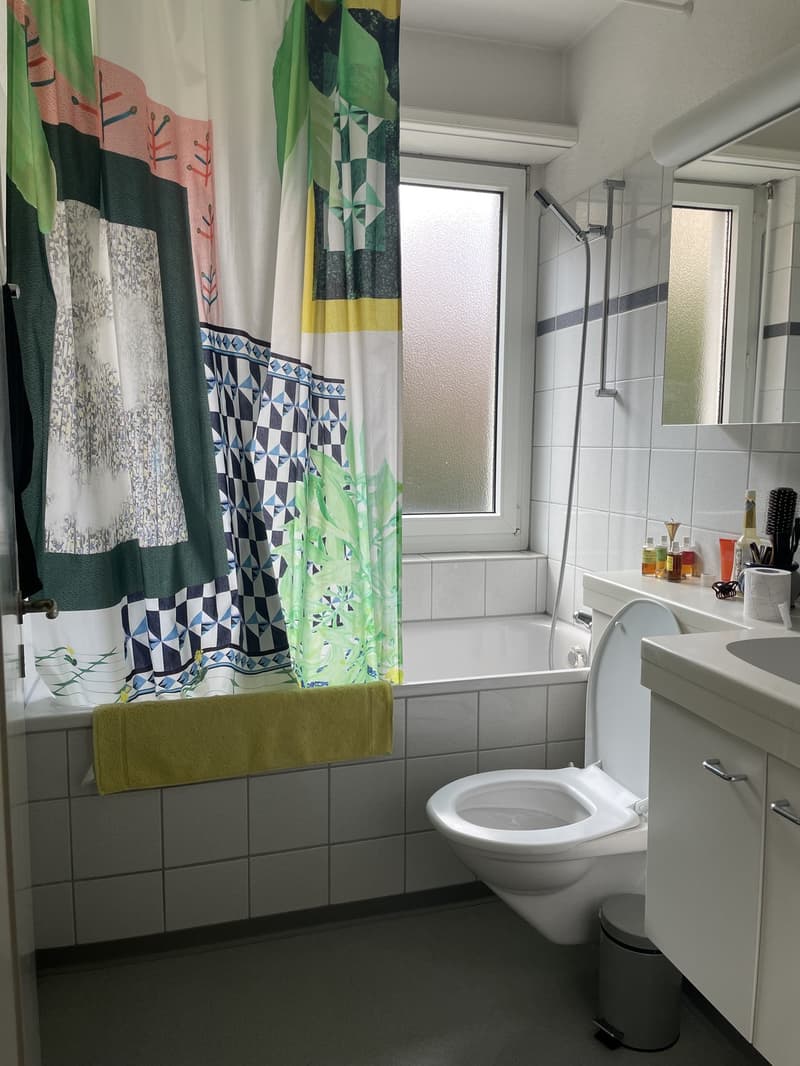 Untermiete - 2.5-Zi-Wohnung zur Untermiete für 3 Monate (9)