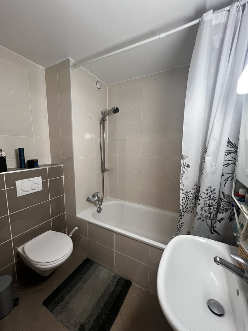 Charmant appartement de 2 pièces - Lausanne (César-Roux) (8)