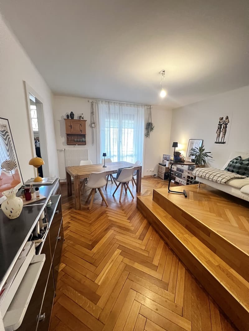 Charmant appartement de 2 pièces - Lausanne (César-Roux) (1)