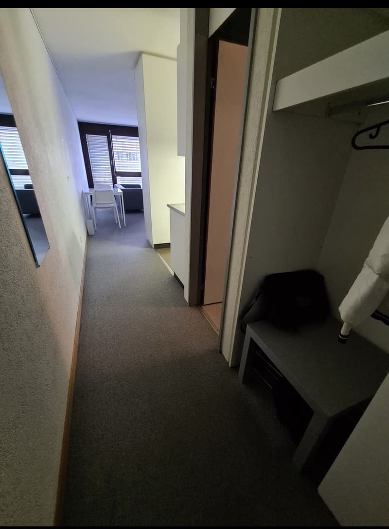 1 Zimmer Wohnung in zentraler Lage nahe dem Inselspital (3)