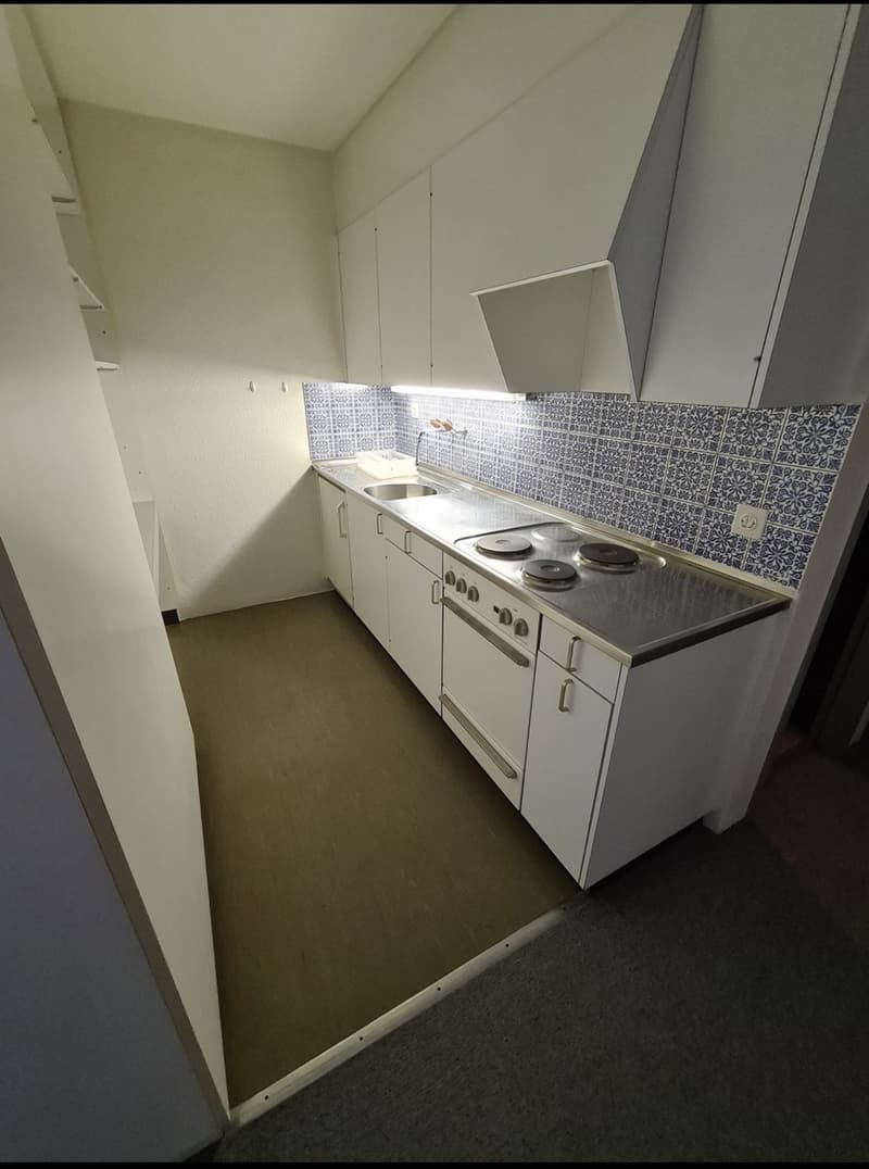 1 Zimmer Wohnung in zentraler Lage nahe dem Inselspital (2)