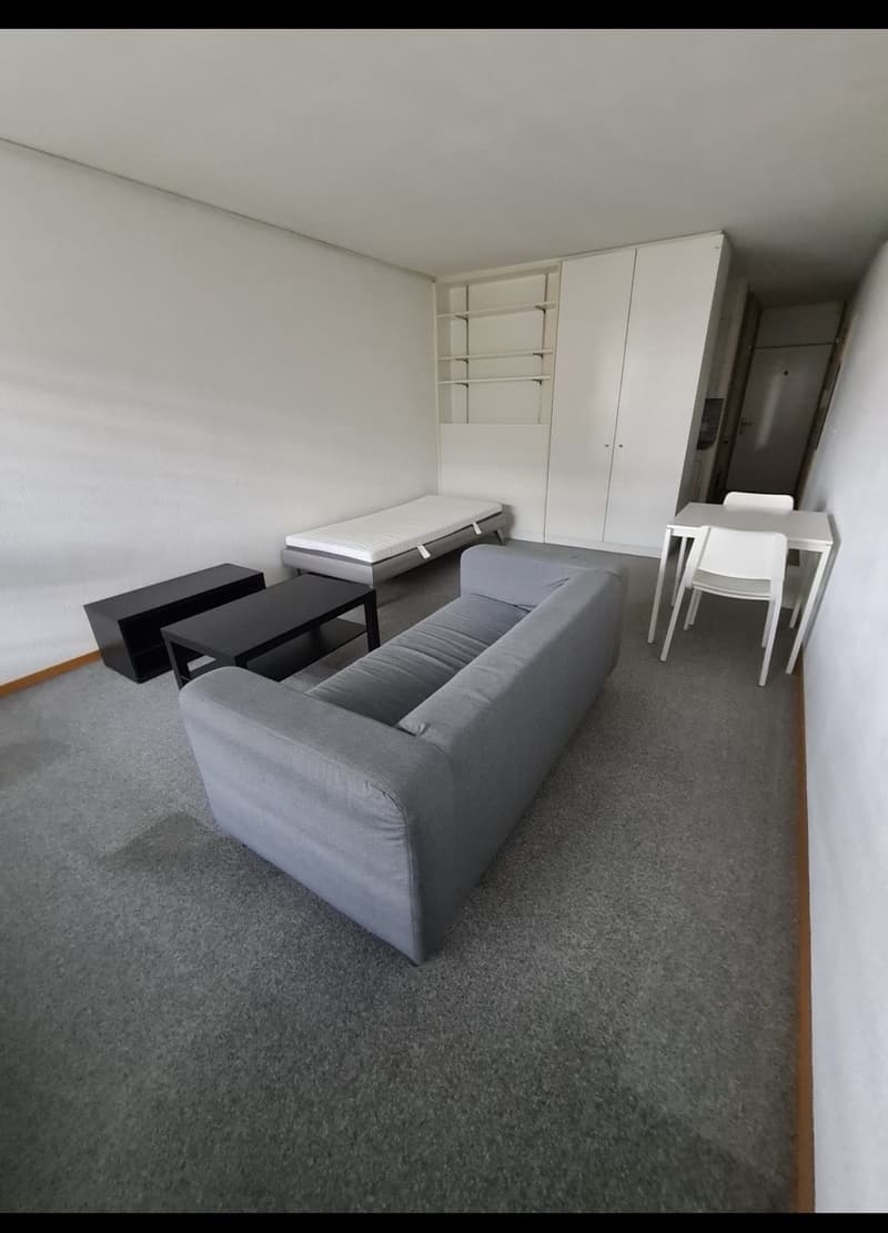1 Zimmer Wohnung in zentraler Lage nahe dem Inselspital (1)