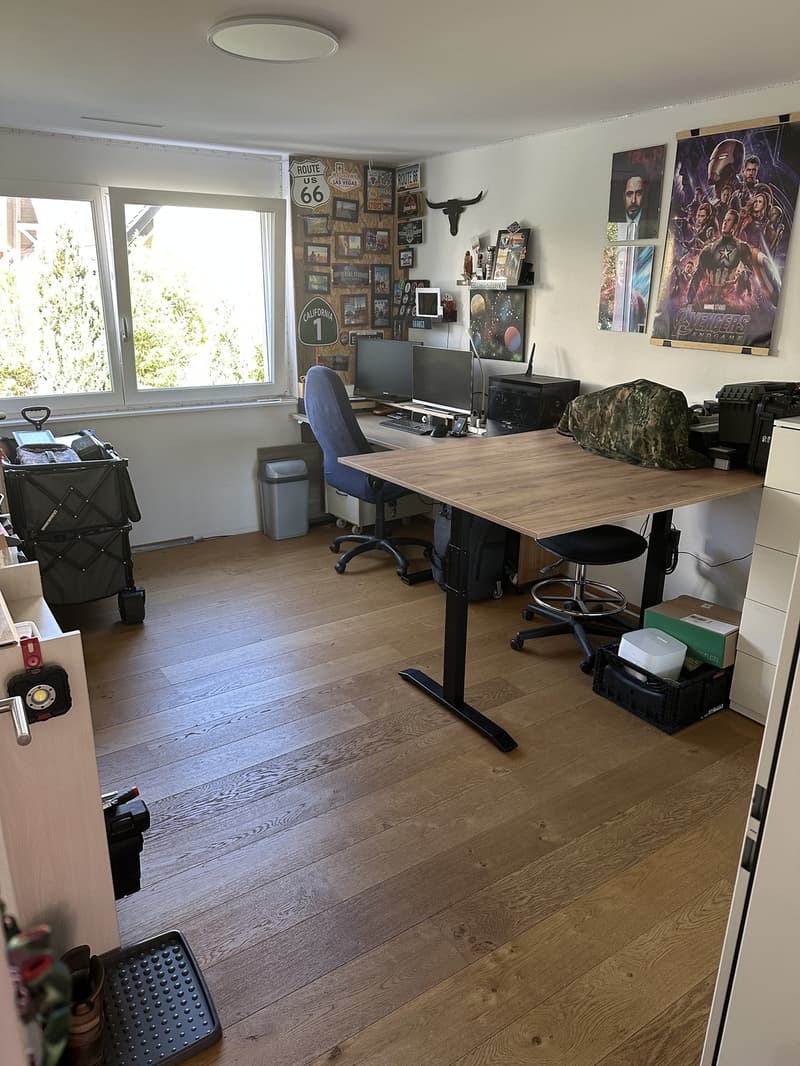 Grosszügige 4.5 Zimmerwohnung mit viel Licht und Aussicht (7)