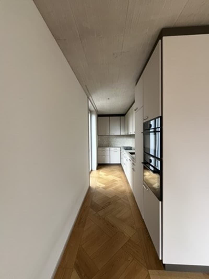 Unbefristete Untervermietung einer hellen 3.5-Zimmer-Wohnung an zentraler Lage mit Blick ins Grüne, unmöbliert oder teilmöbliert (3)