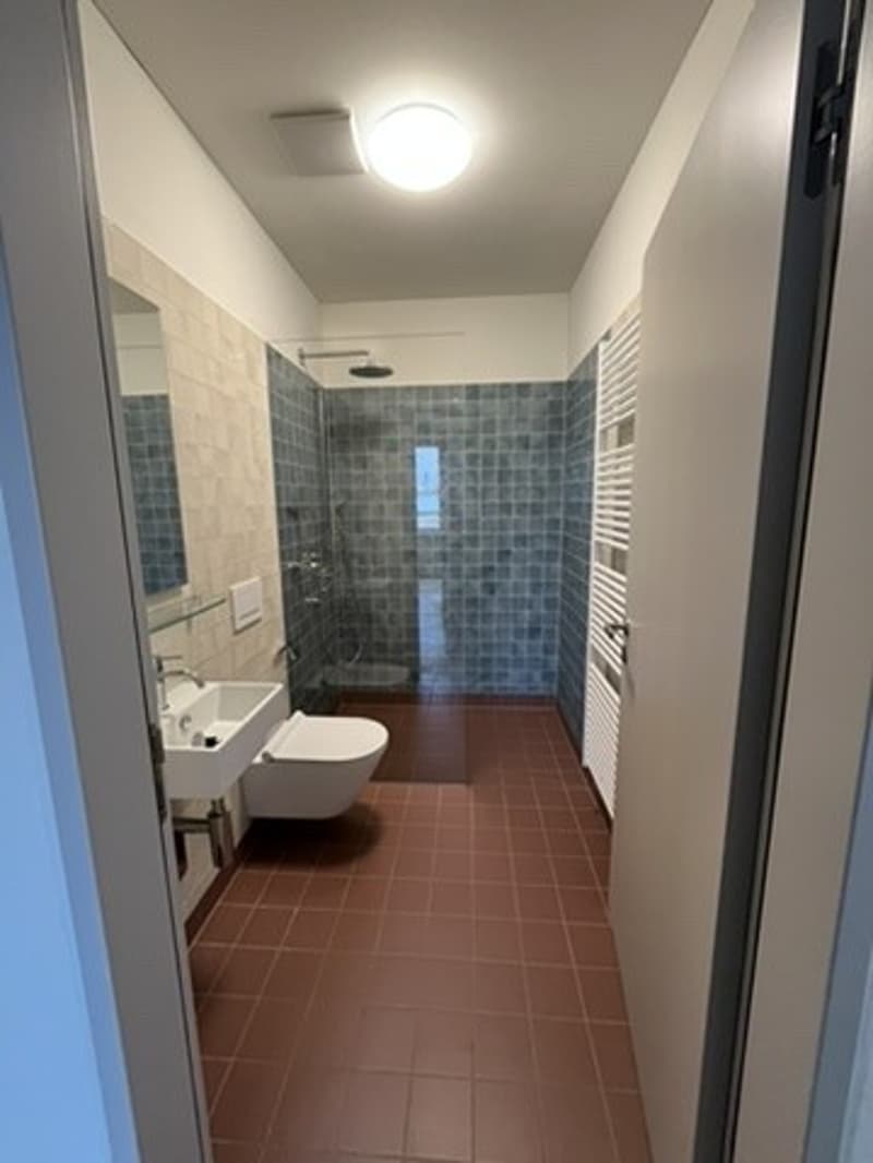 Unbefristete Untervermietung einer hellen 3.5-Zimmer-Wohnung an zentraler Lage mit Blick ins Grüne, unmöbliert oder teilmöbliert (6)