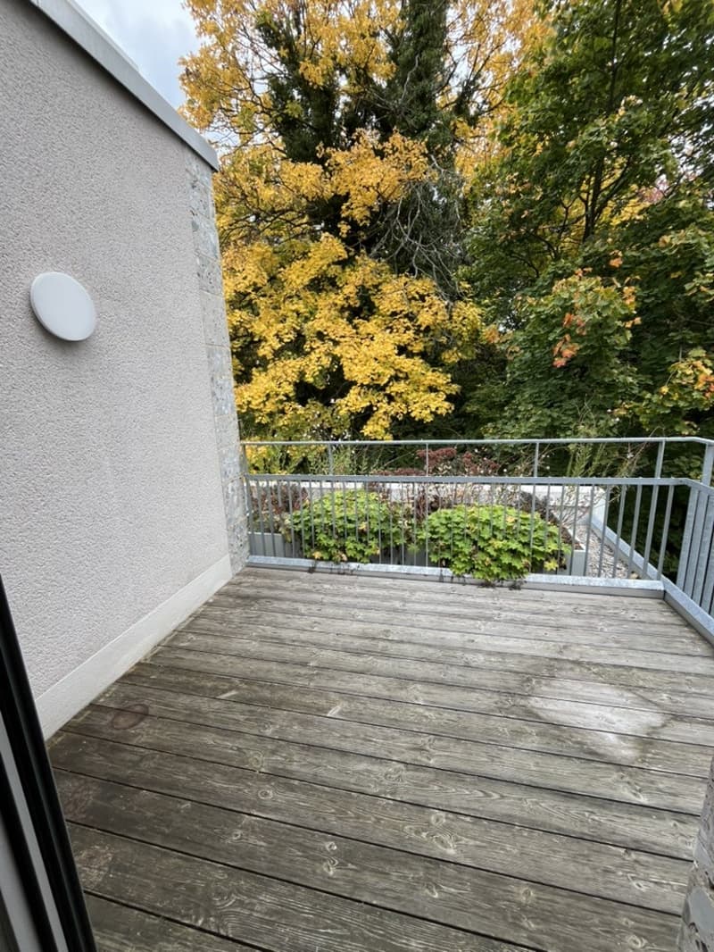 Unbefristete Untervermietung einer hellen 3.5-Zimmer-Wohnung an zentraler Lage mit Blick ins Grüne, unmöbliert oder teilmöbliert (11)