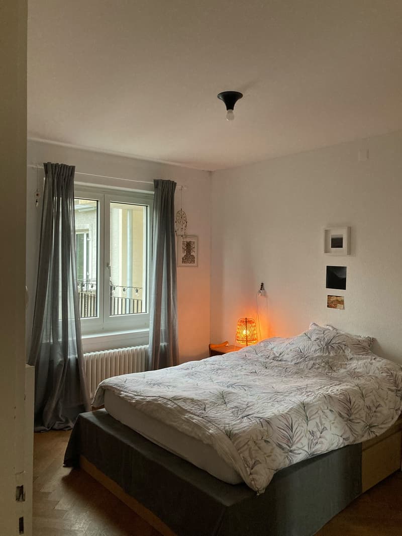 2.5 Zimmer Wohnung in Wiedikon Untermiete für 3 Monate ab Ende Oktober (3)