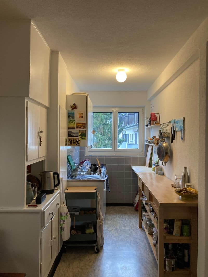 2.5 Zimmer Wohnung in Wiedikon Untermiete für 3 Monate ab Ende Oktober (4)