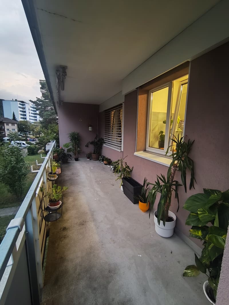 Rent only for the month of September (6)