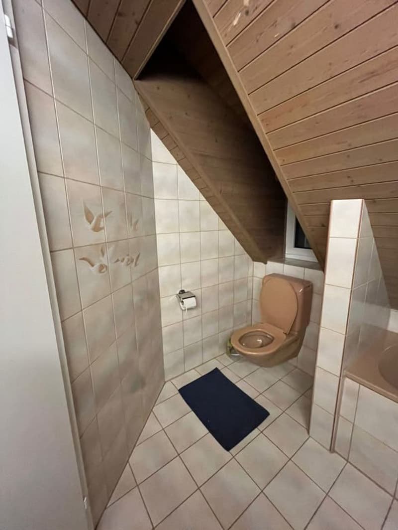 Room in Wiedikon (students / young professionals preferred) (13)