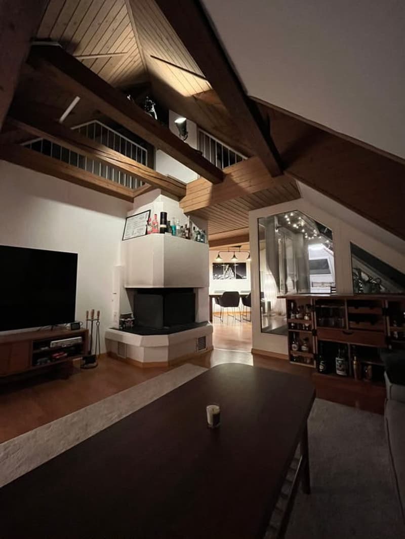Room in Wiedikon (students / young professionals preferred) (11)