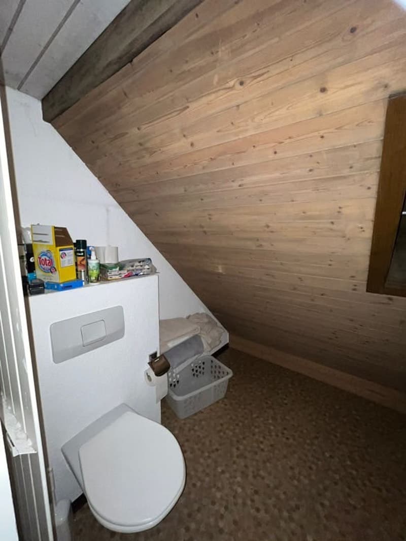 Room in Wiedikon (students / young professionals preferred) (5)