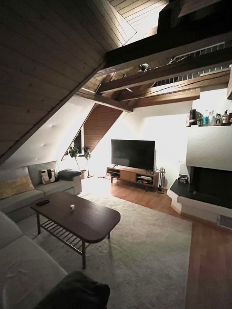 Room in Wiedikon (students / young professionals preferred) (9)