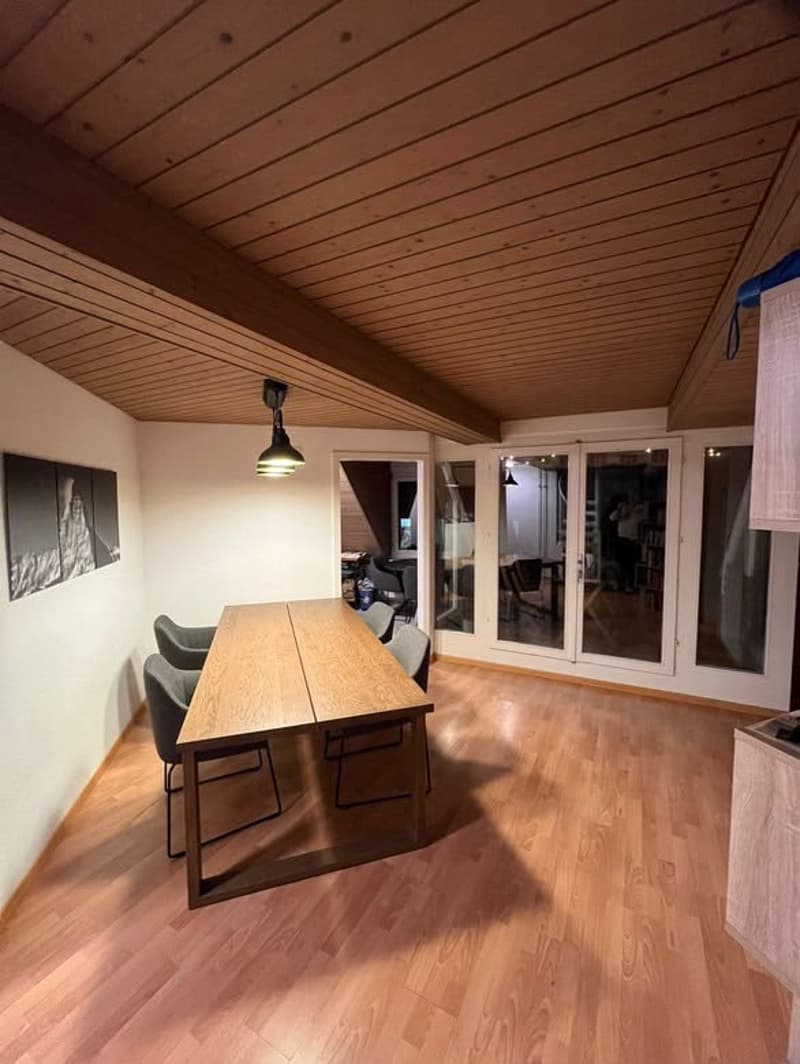 Room in Wiedikon (students / young professionals preferred) (1)