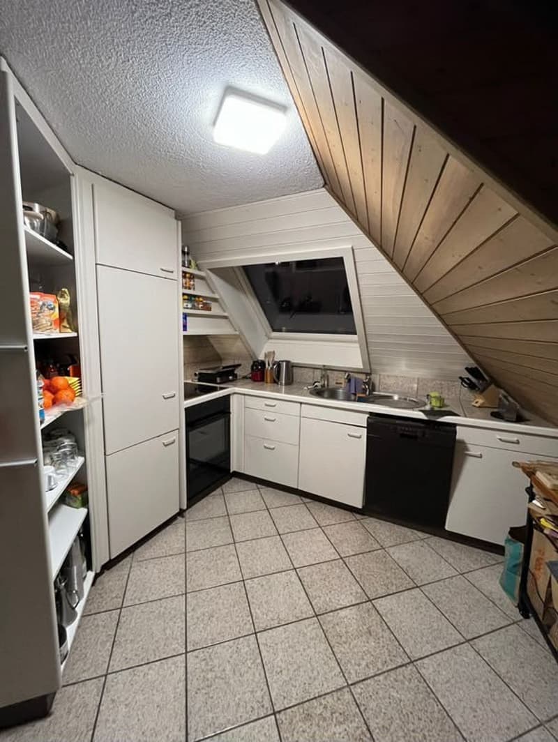 Room in Wiedikon (students / young professionals preferred) (4)