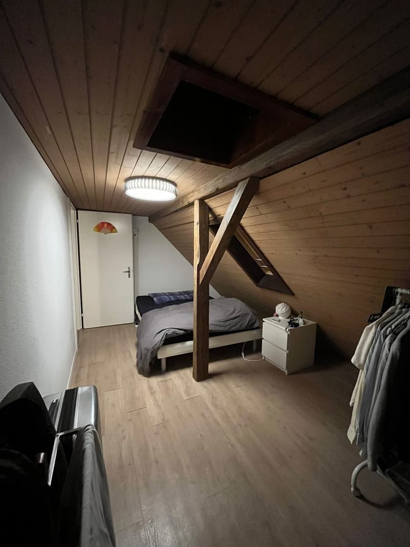 Room in Wiedikon (students / young professionals preferred) (8)