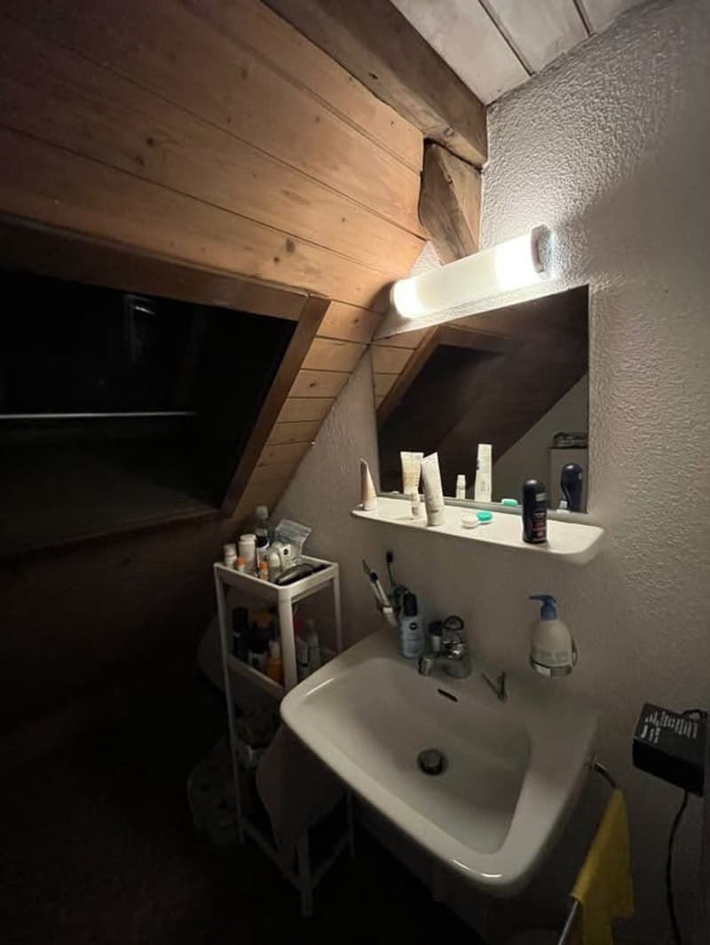 Room in Wiedikon (students / young professionals preferred) (2)