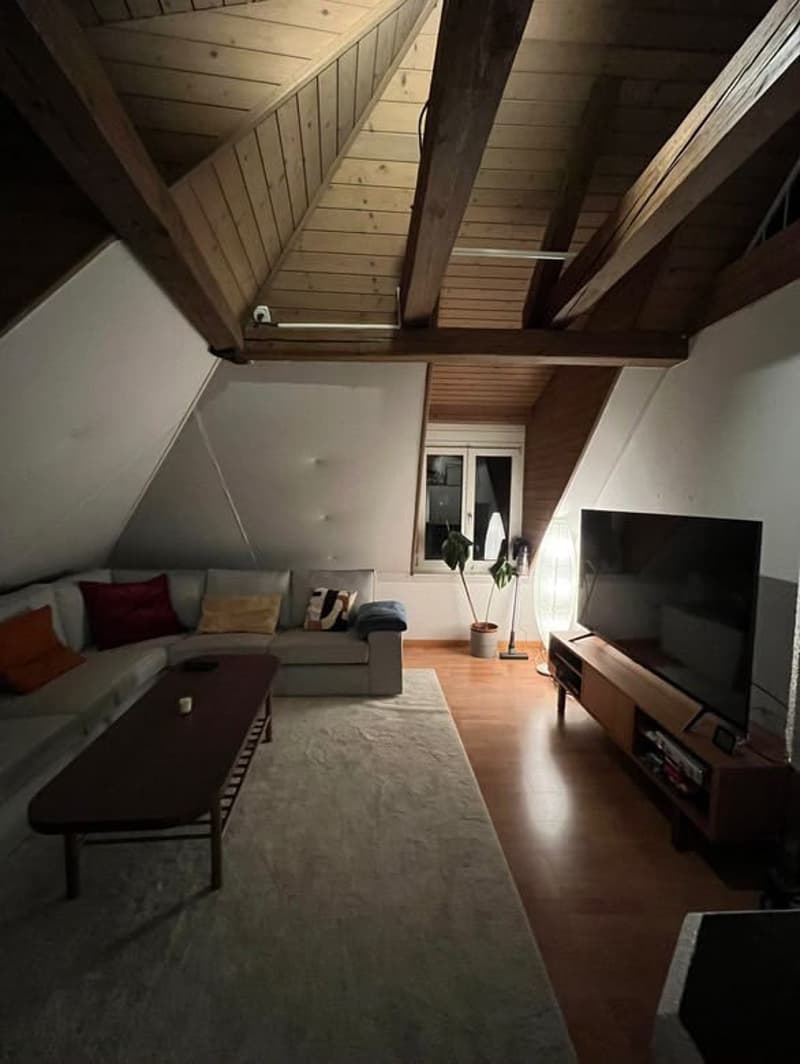Room in Wiedikon (students / young professionals preferred) (10)