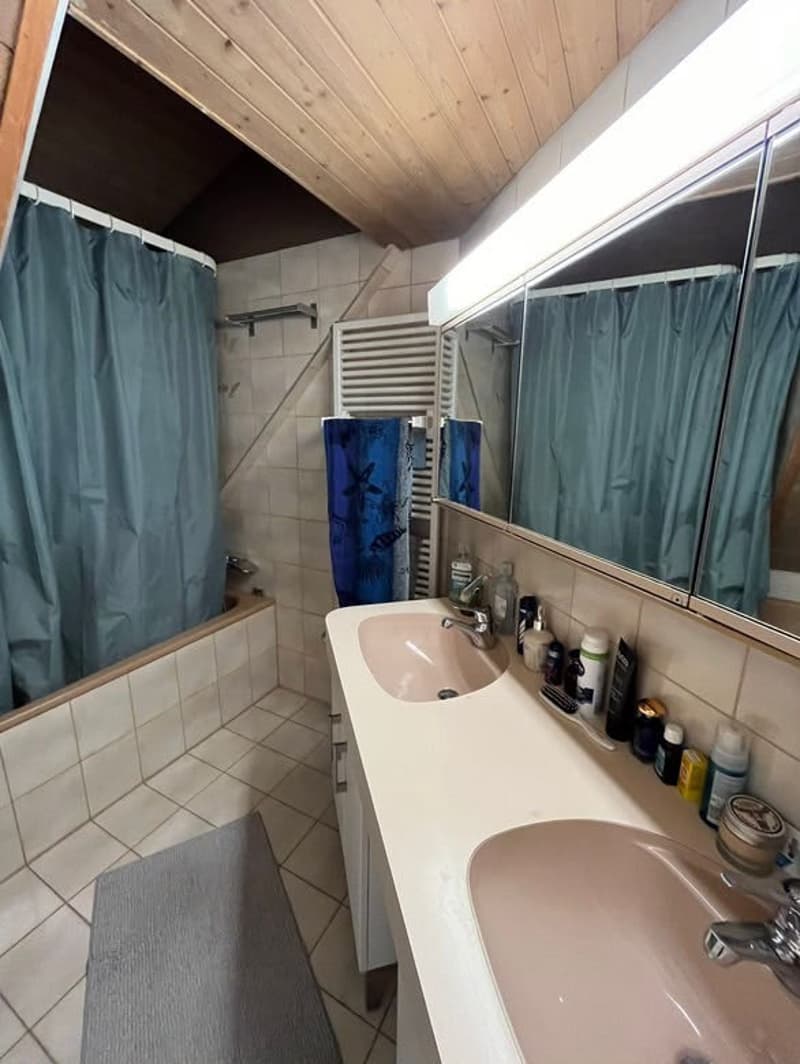 Room in Wiedikon (students / young professionals preferred) (6)