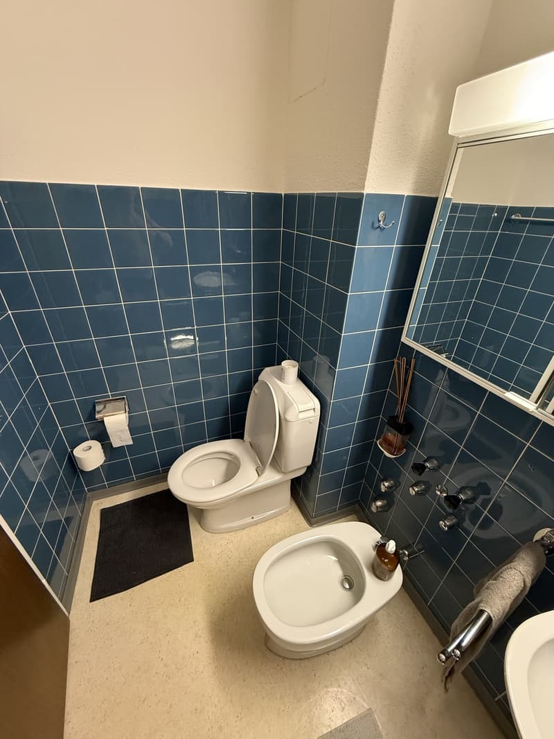 Befristete Wohnung bis März Möbliert (6)