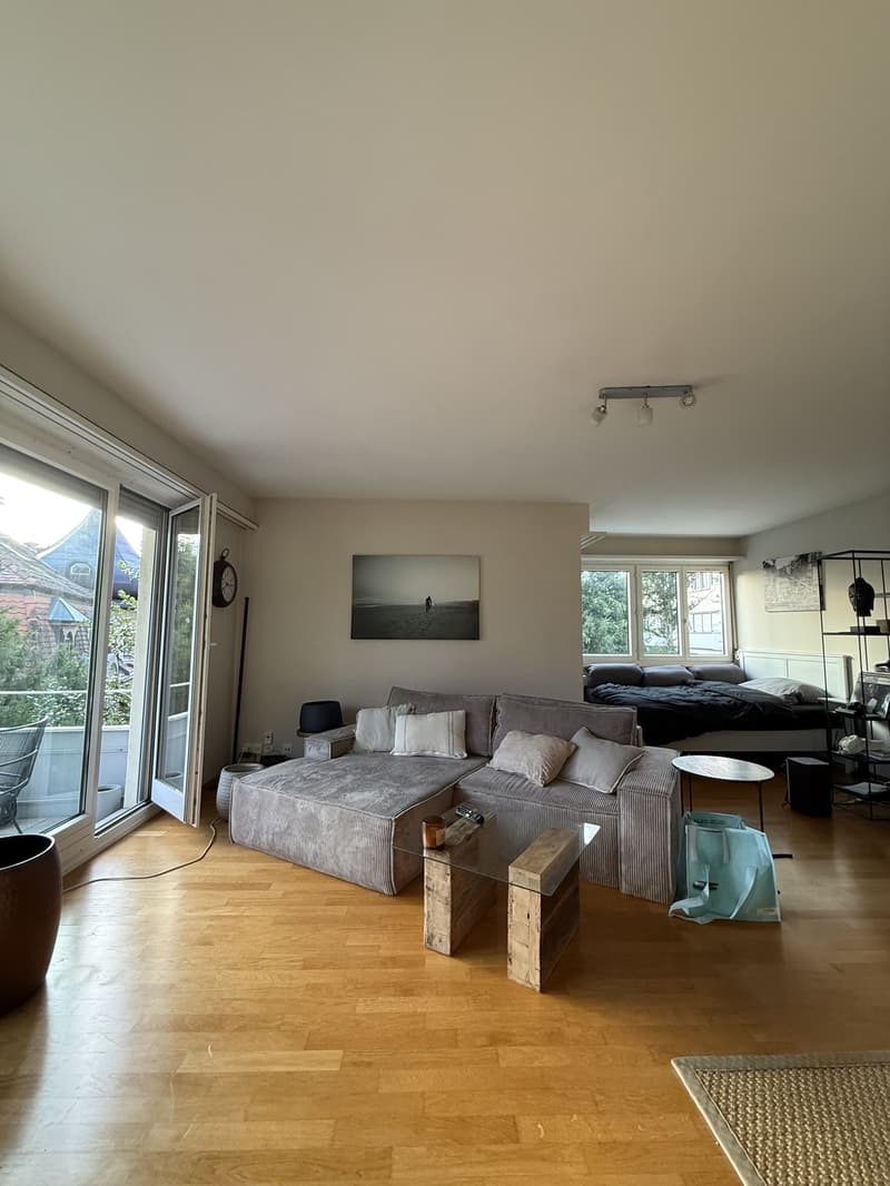 Befristete Wohnung bis März Möbliert (3)