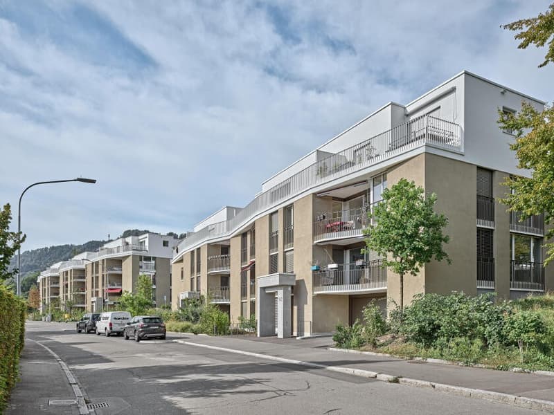 moderne 2.5-Zimmer-Wohnung in Zürich-Leimbach (3)