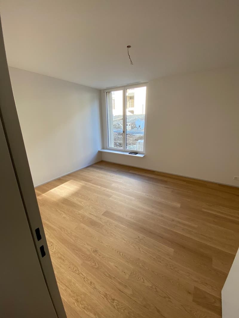 moderne 2.5-Zimmer-Wohnung in Zürich-Leimbach (4)