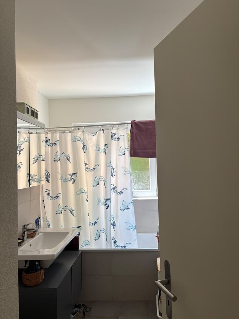 Moderne 3 1/2 Zimmerwohnung (3)