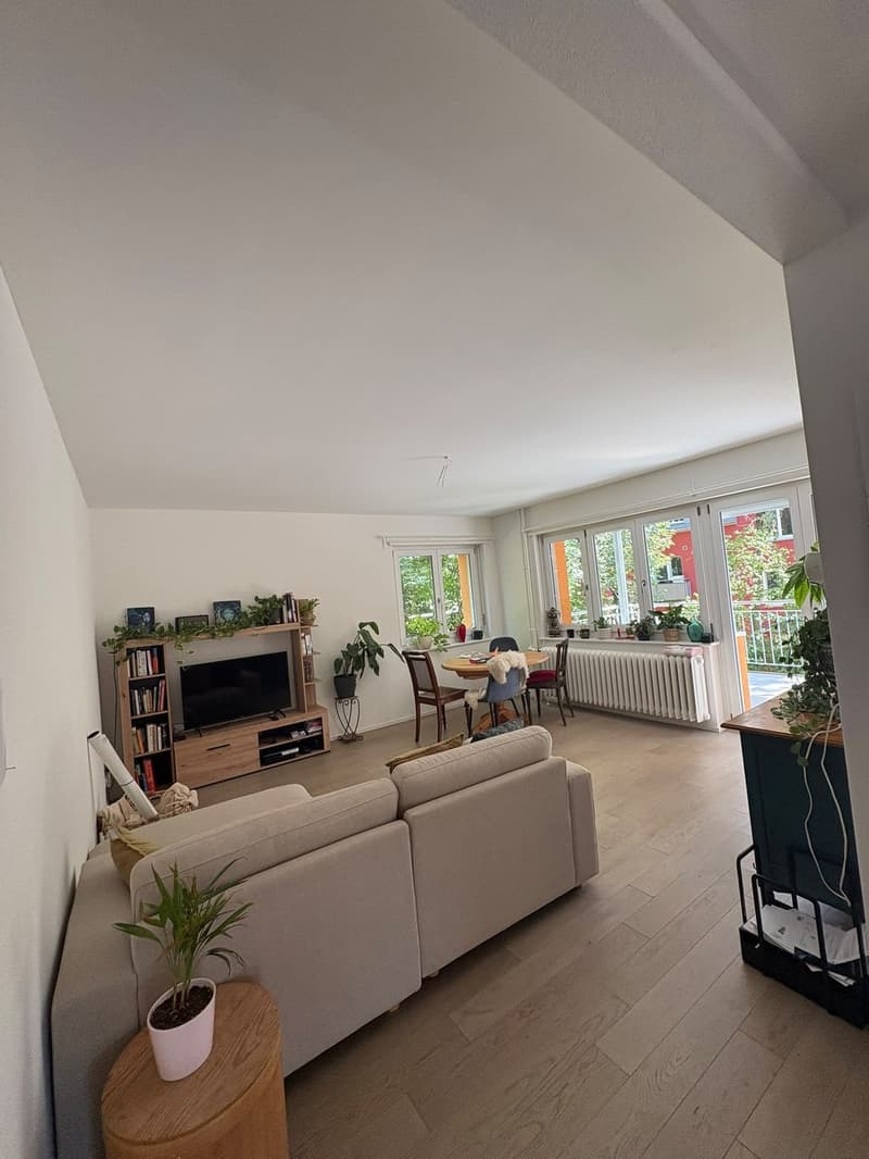 Moderne 3 1/2 Zimmerwohnung (1)