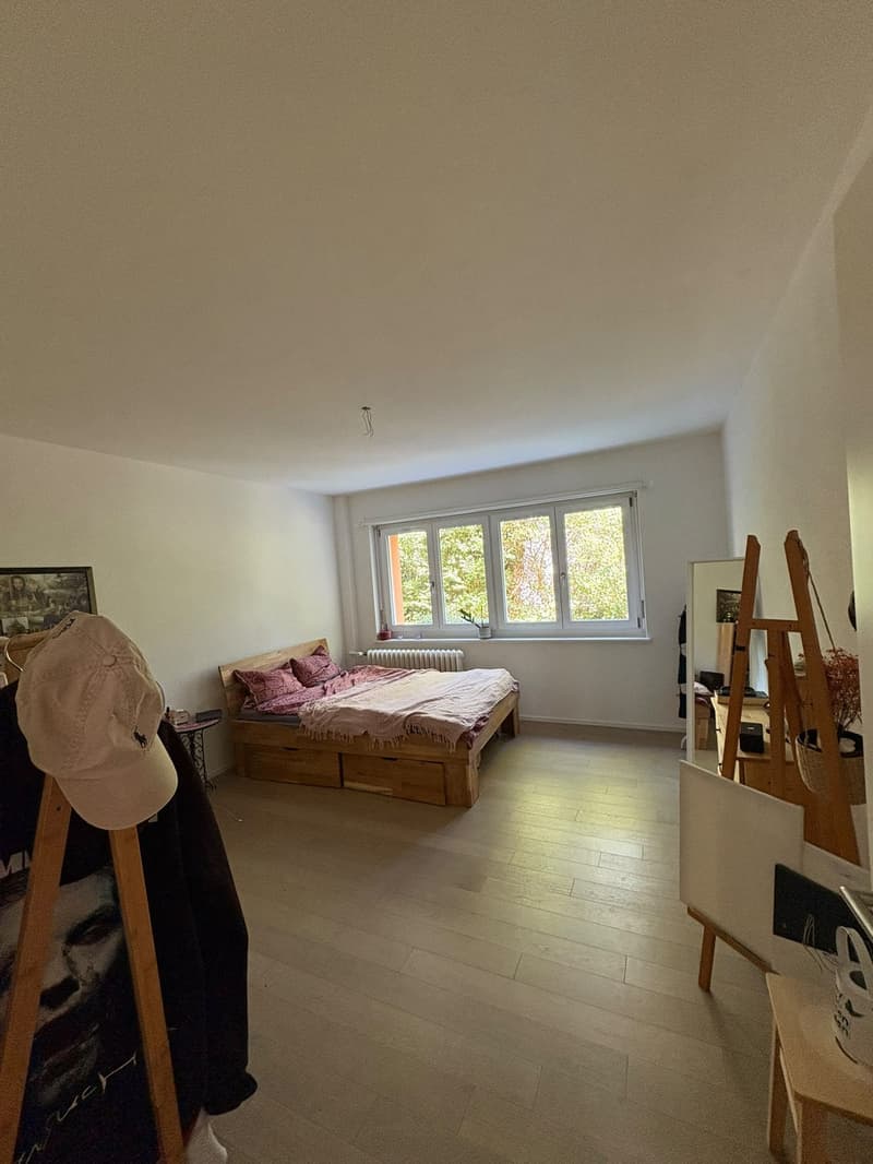 Moderne 3 1/2 Zimmerwohnung (2)