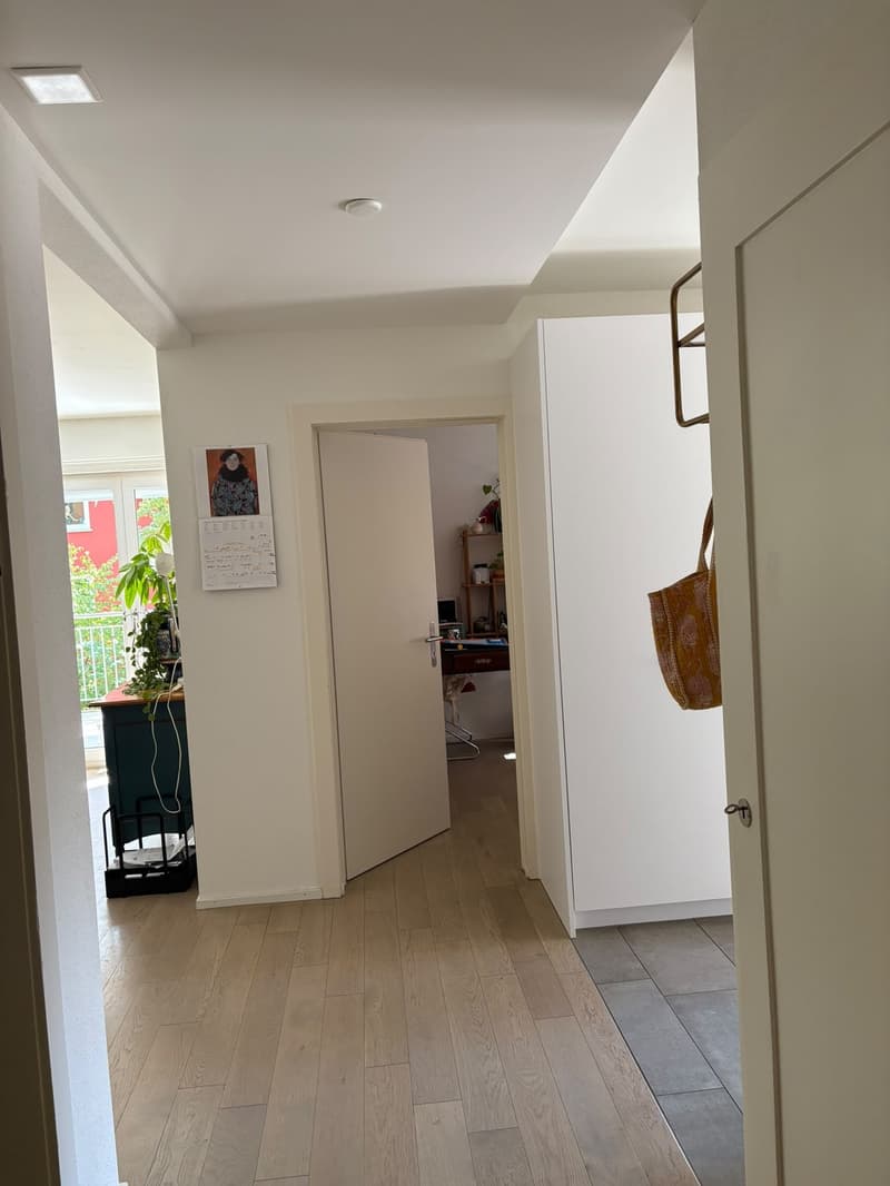Moderne 3 1/2 Zimmerwohnung (7)