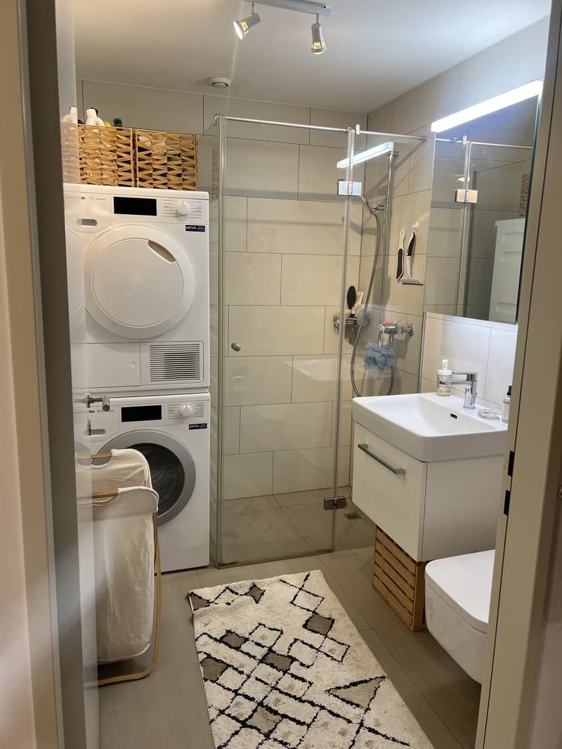 1 1/2 centrally located flat in Zurich! Move in date July 24! (4)