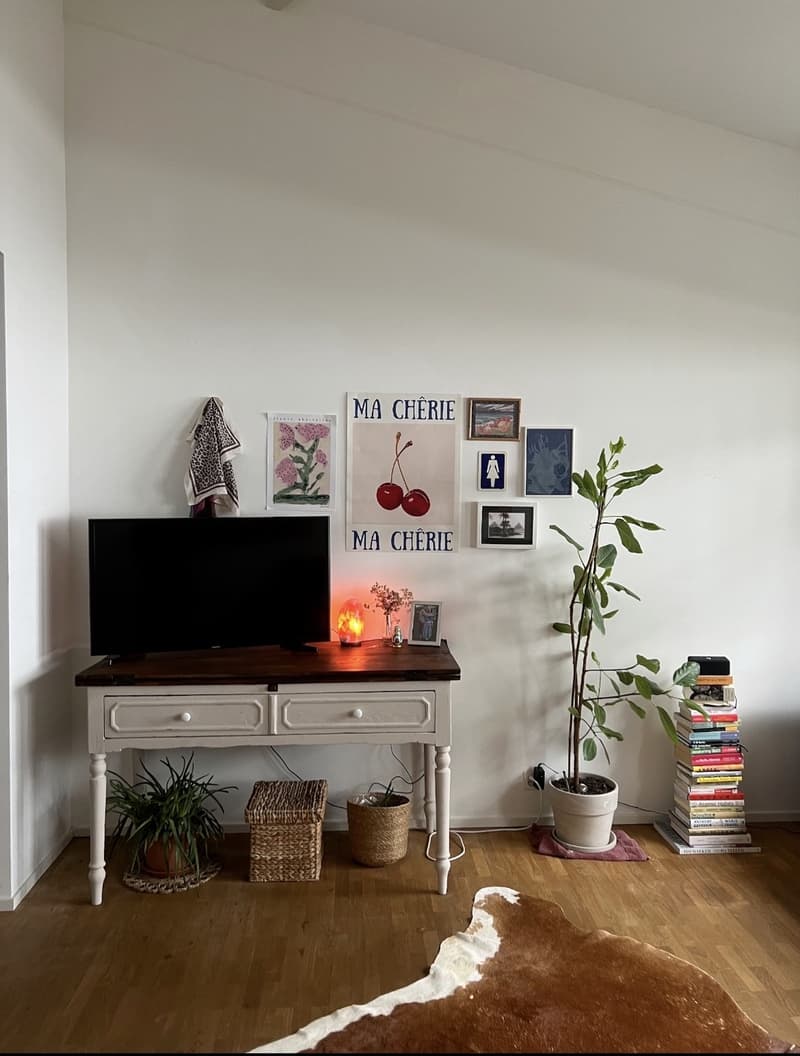 1 1/2 centrally located flat in Zurich! Move in date July 24! (3)