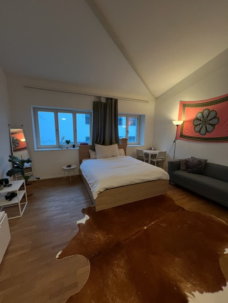 1 1/2 centrally located flat in Zurich! Move in date July 24! (2)