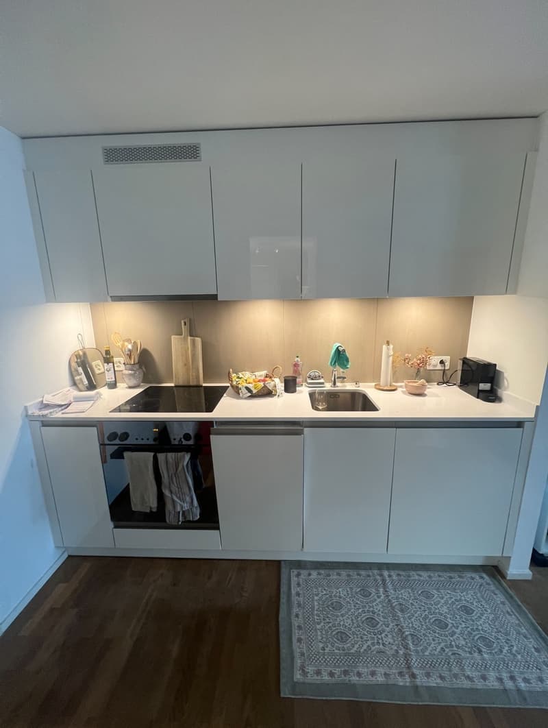 1 1/2 centrally located flat in Zurich! Move in date July 24! (5)