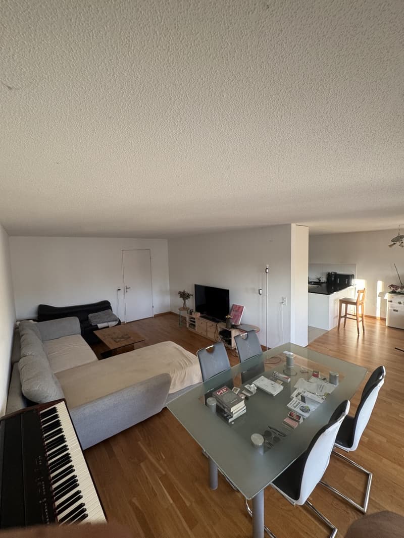 Zimmer zu vermieten  nur 25 Minuten von Zürich HB entfernt (5)