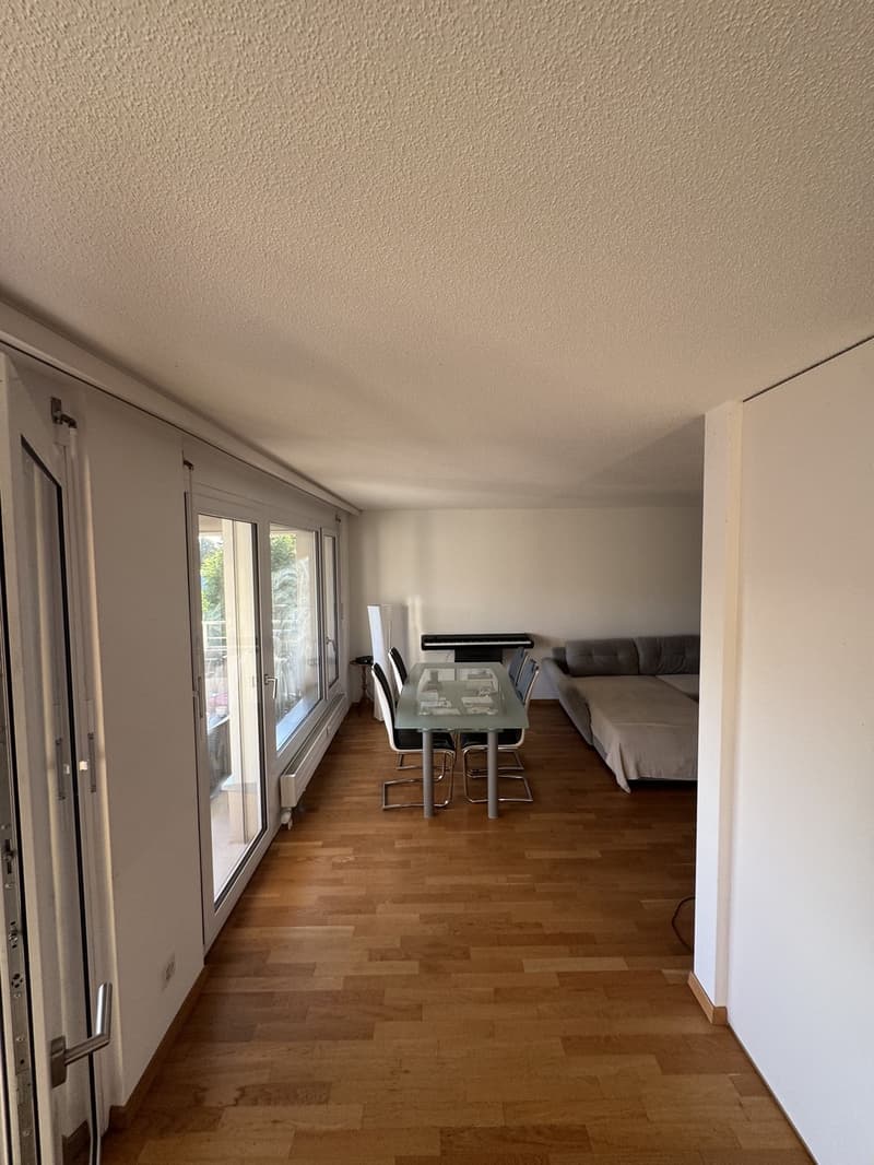 Zimmer zu vermieten  nur 25 Minuten von Zürich HB entfernt (7)
