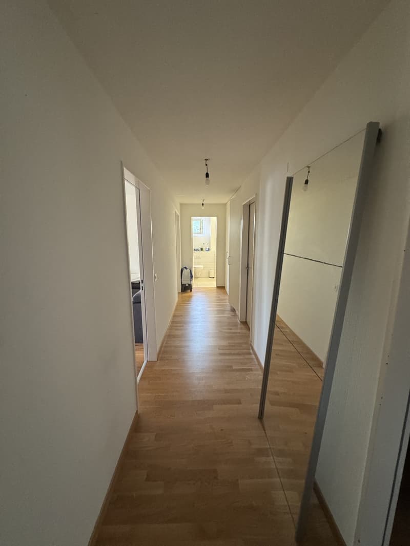 Zimmer zu vermieten  nur 25 Minuten von Zürich HB entfernt (11)