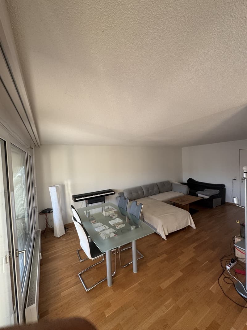 Zimmer zu vermieten  nur 25 Minuten von Zürich HB entfernt (9)