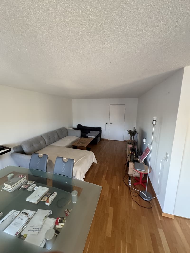 Zimmer zu vermieten  nur 25 Minuten von Zürich HB entfernt (8)