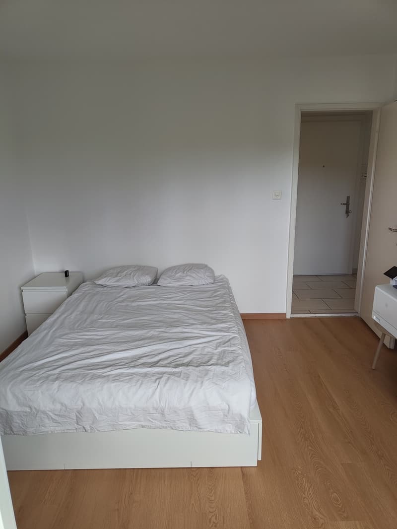 2-Zimmer-Wohnung mit guter ÖV-Anbindung (3)