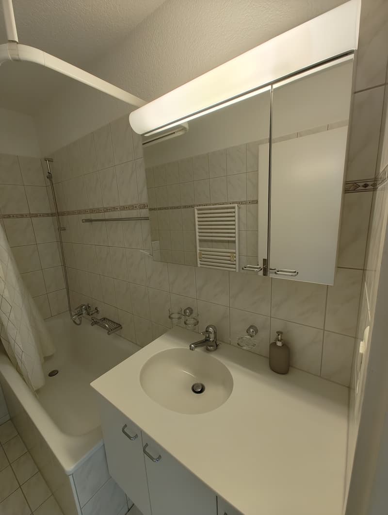 2-Zimmer-Wohnung mit guter ÖV-Anbindung (7)