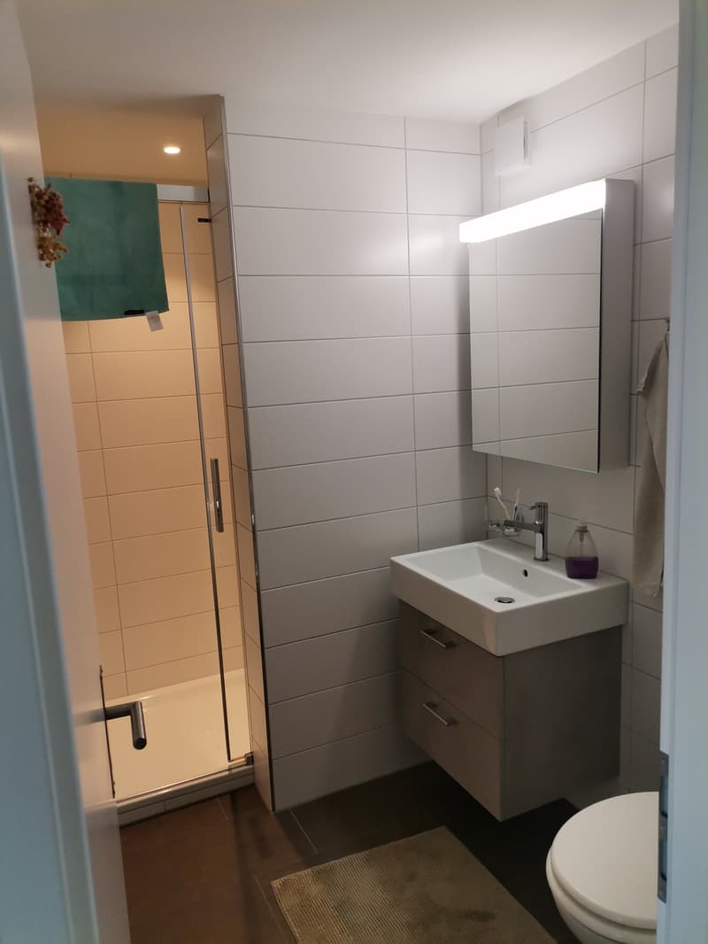 Zimmer in 4er-WG ab 20. September oder nach Vereinbarung. (8)