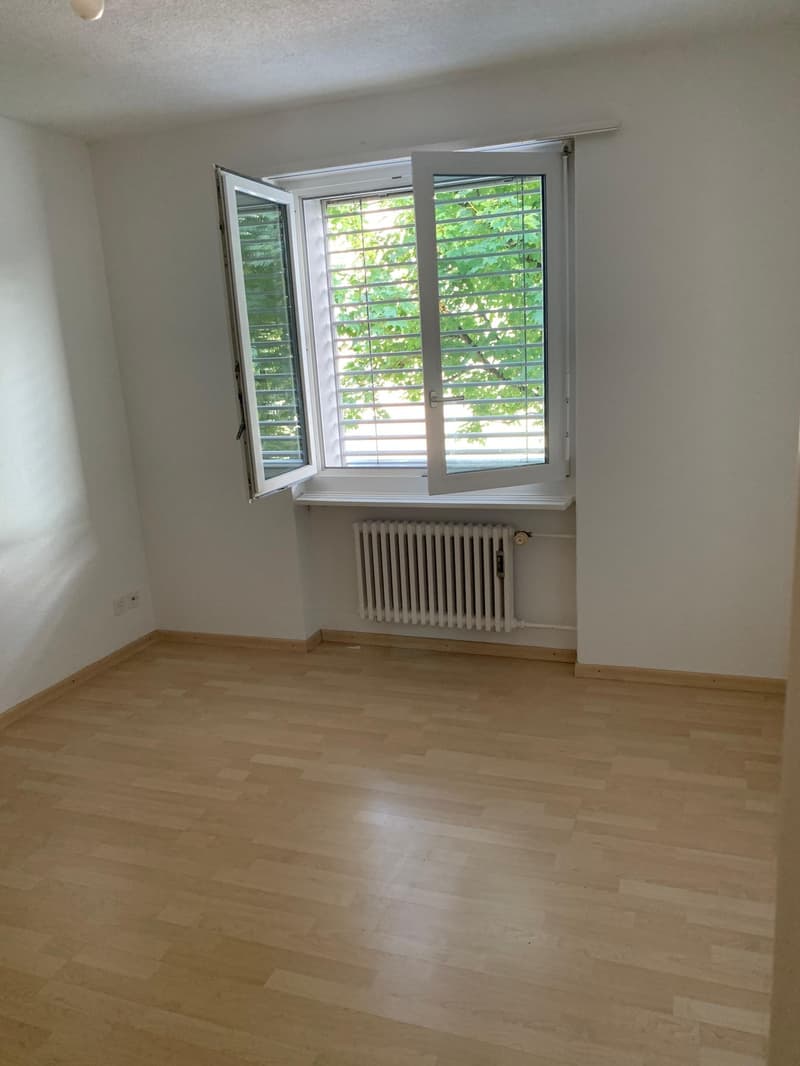 Helle und geräumige 2-Zimmerwohnung in Lenzburg (3)