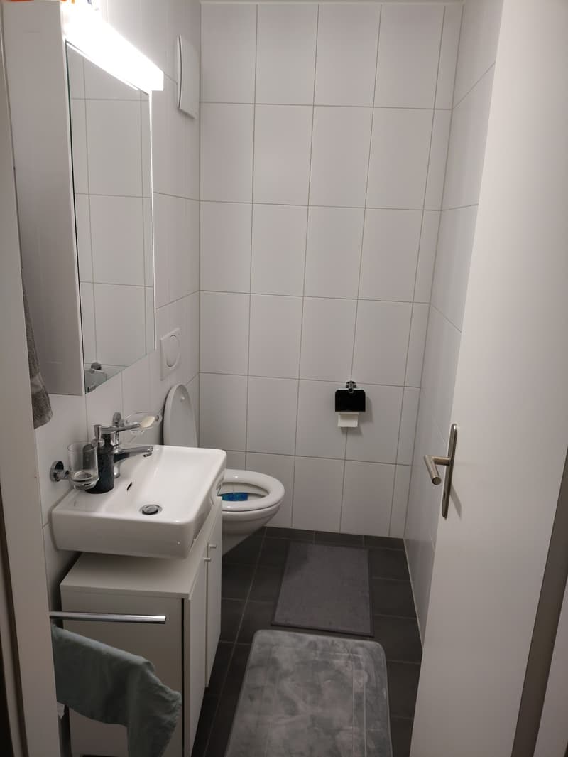 Modern, furnished room in Bümpliz (5)