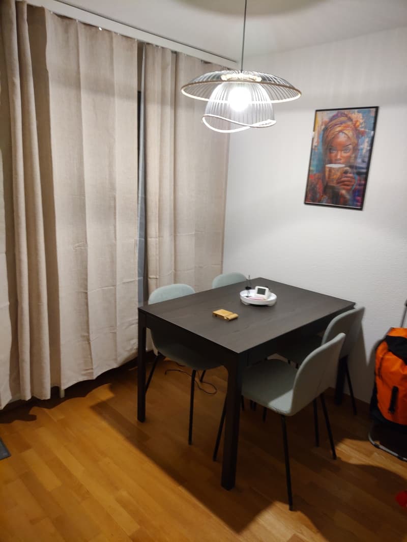 Modern, furnished room in Bümpliz (3)
