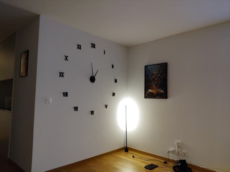 Modern, furnished room in Bümpliz (8)
