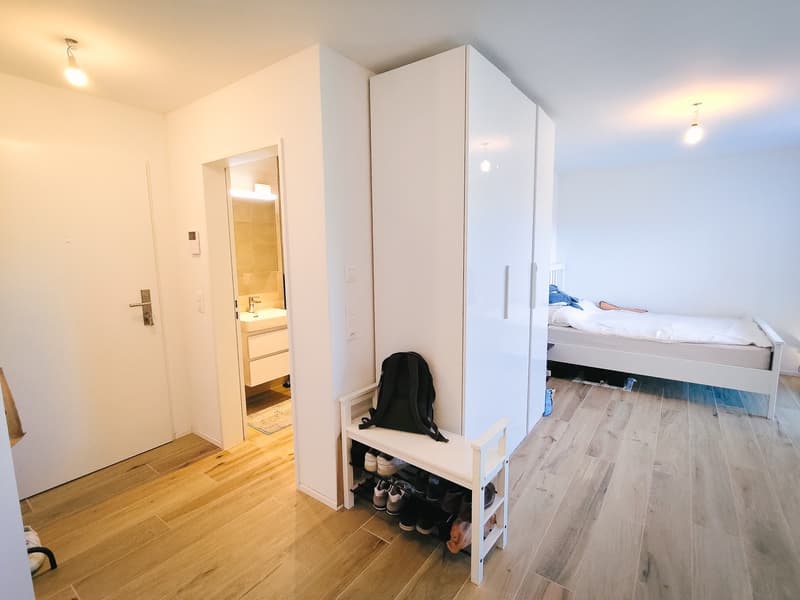 1.5-Zimmer-Wohnung in zentraler Lage in Zürich Oerlikon (3)