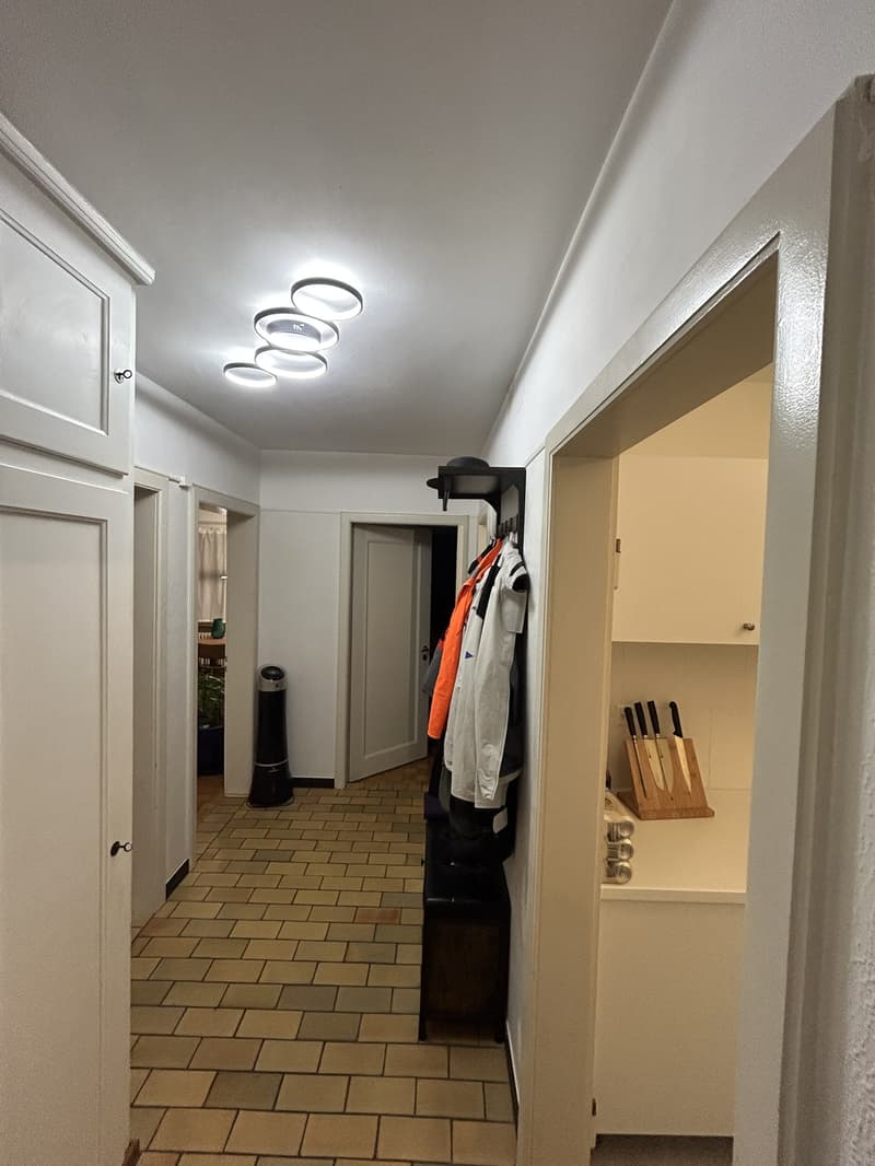 3 Zimmer-Wohnung, 8802 Kilchberg (5)