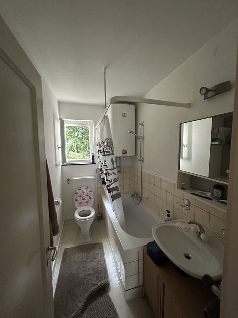 3 Zimmer-Wohnung, 8802 Kilchberg (7)